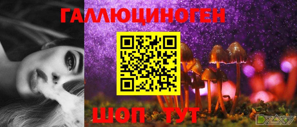 Галлюциногенные грибы MAGIC MUSHROOMS  где можно купить наркотик  Балтийск  Вход с VPN 